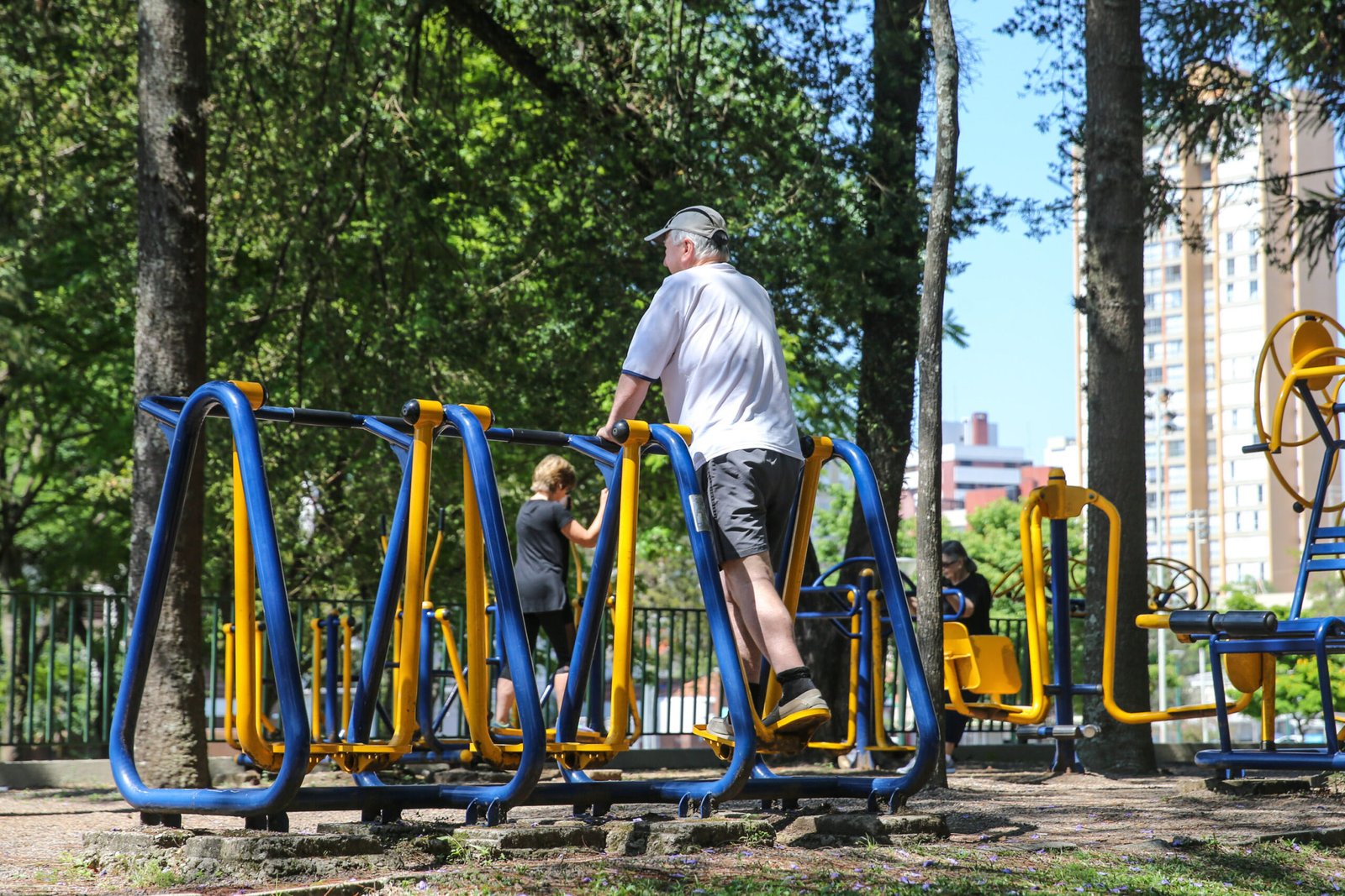 Novo retrato familiar: Paraná tem lares menores, mais mulheres no comando e avanço de 55% na população idosa