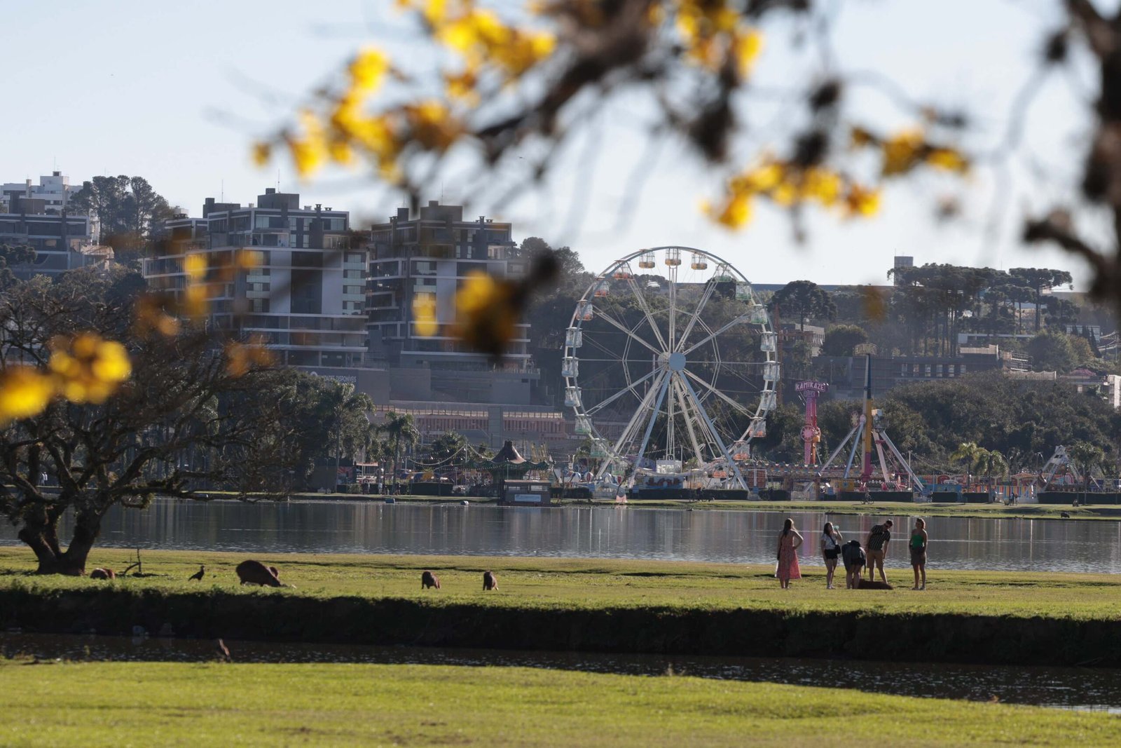 Após domingo de chuvas recordes no Oeste, Paraná terá semana de calor e pancadas isoladas