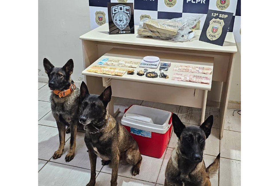 Força-tarefa prende três pessoas e apreende grande variedade de drogas e munições em Ponta Grossa