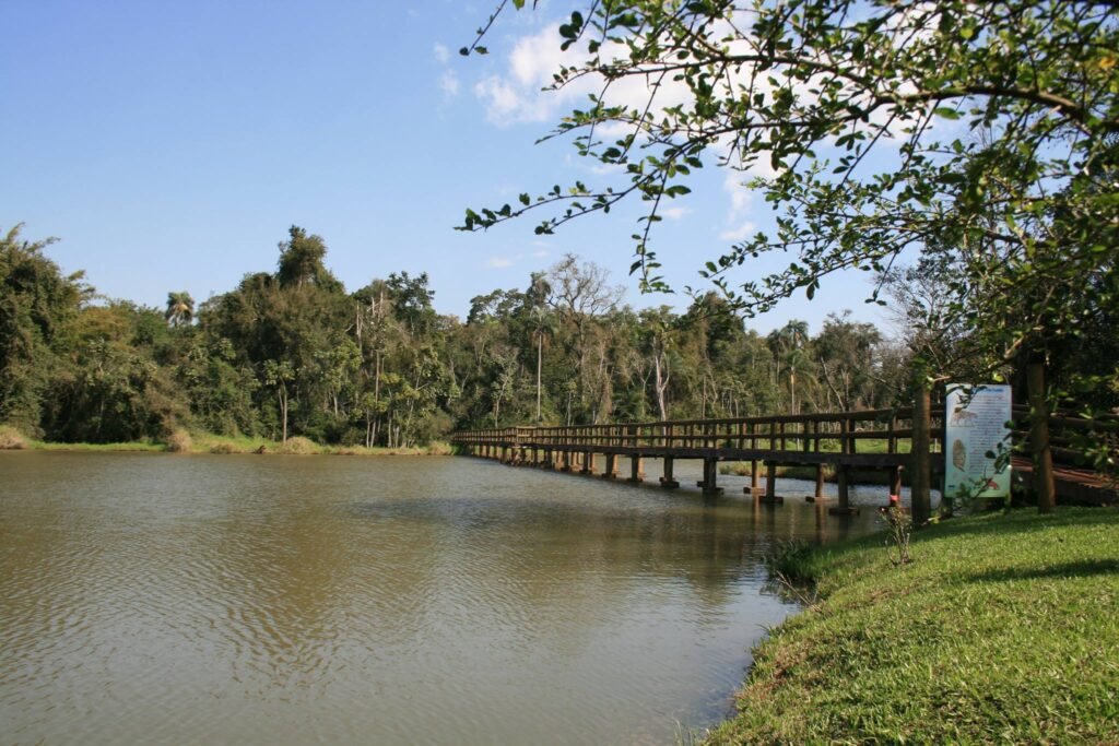 Rota Verde: guia prático com 13 refúgios naturais imperdíveis no Paraná
