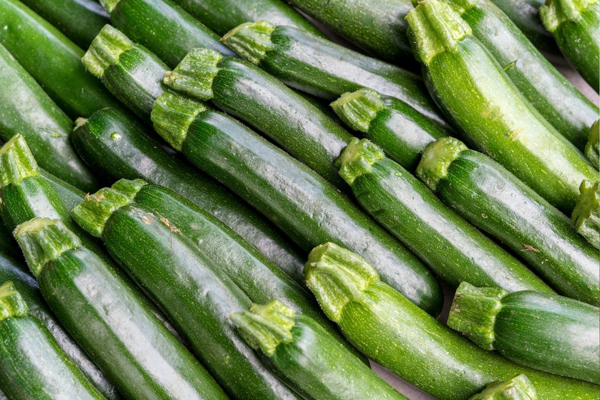 Abobrinha: Paraná se consolida como 4º maior produtor da hortaliça do Brasil