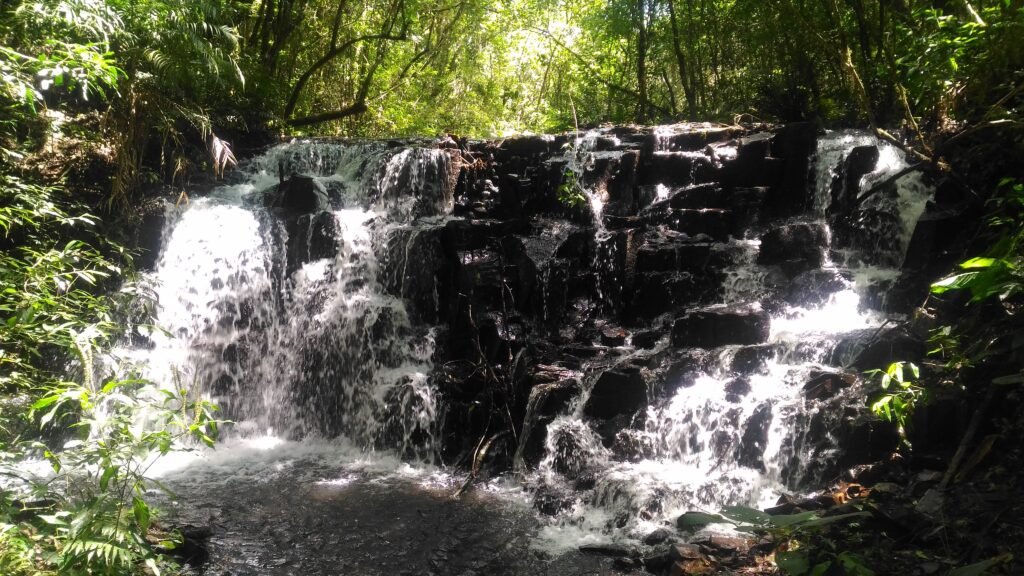 Rota Verde: guia prático com 13 refúgios naturais imperdíveis no Paraná