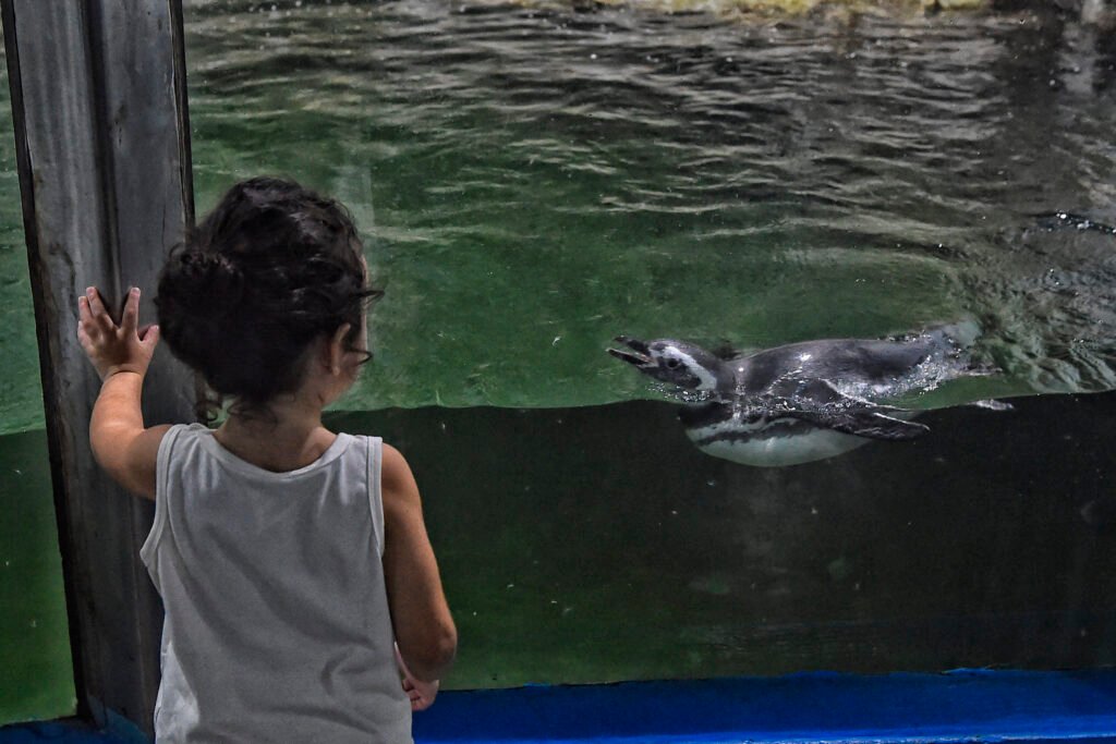 Rota Verde: guia prático com 13 refúgios naturais imperdíveis no Paraná