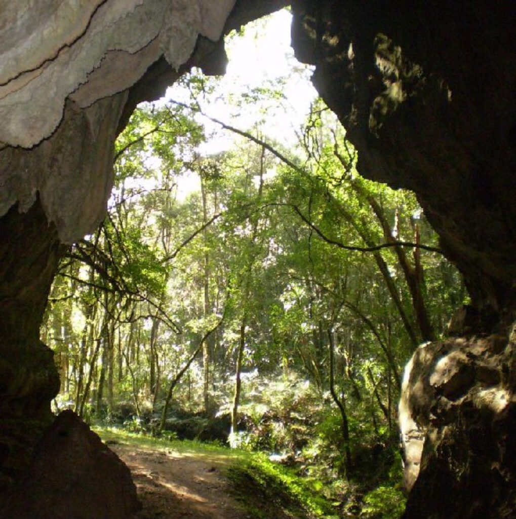 Rota Verde: guia prático com 13 refúgios naturais imperdíveis no Paraná
