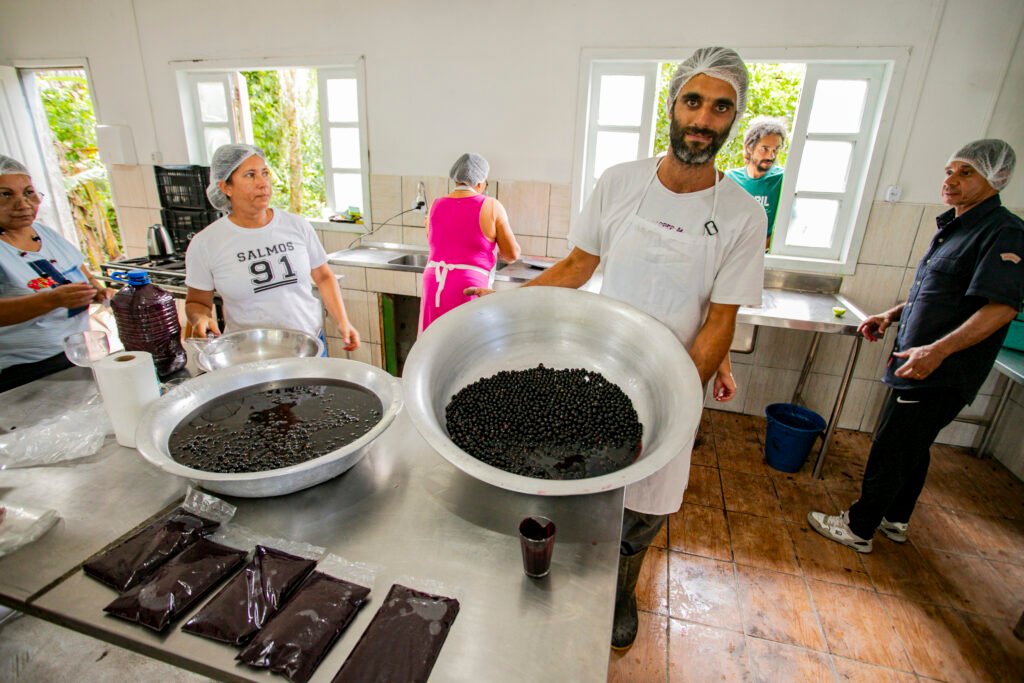 Ouro roxo da Mata Atlântica: açaí juçara vira fonte de renda para comunidades caiçaras no Litoral