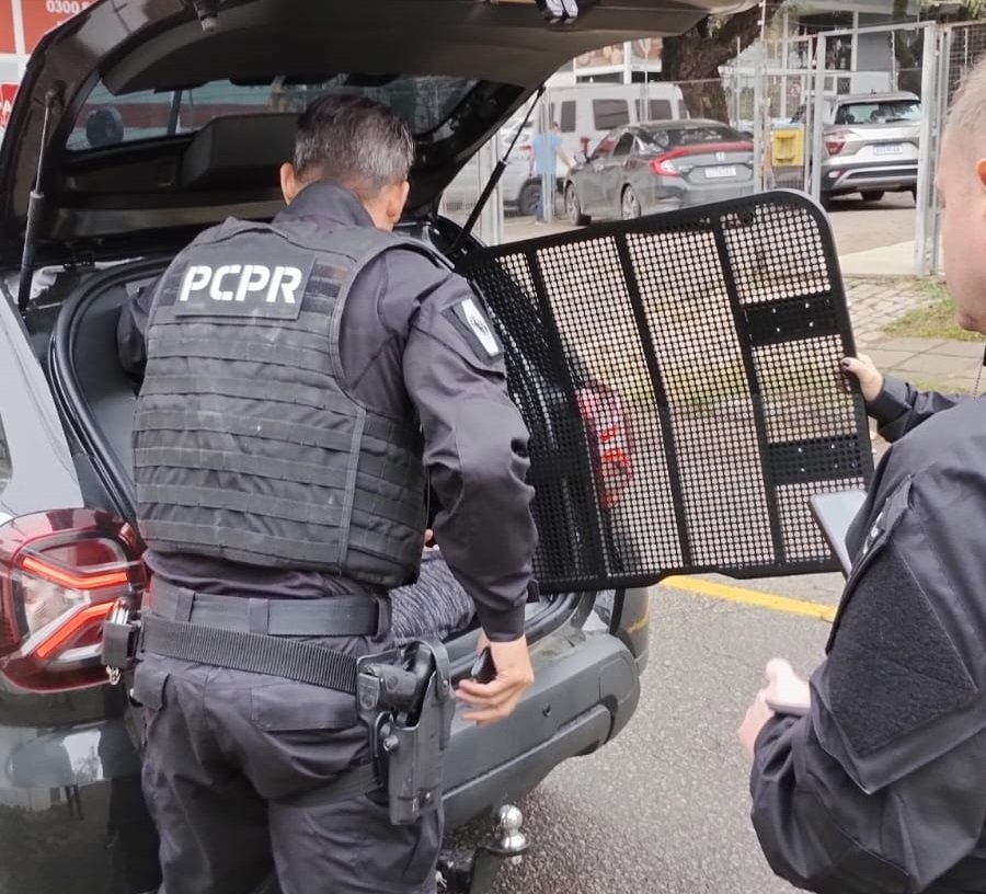 Megaoperação internacional contra abuso infantil cumpre mandados em Curitiba