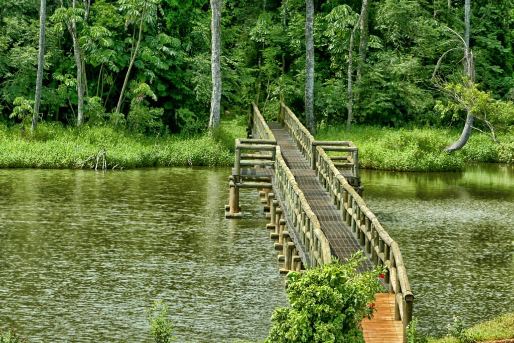 Rota Verde: guia prático com 13 refúgios naturais imperdíveis no Paraná