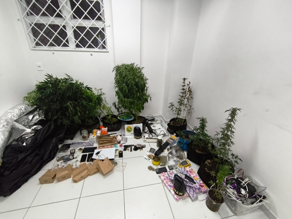 Balanço do feriado: Polícia Militar prende mais de 100 pessoas e recolhe 108 veículos no Paraná