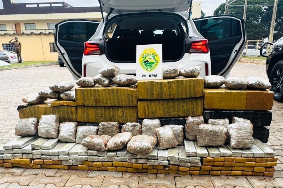 Inteligência Artificial contra o crime: plataforma "Olho Vivo" guia PM em prisões e apreensão de 269 kg de maconha