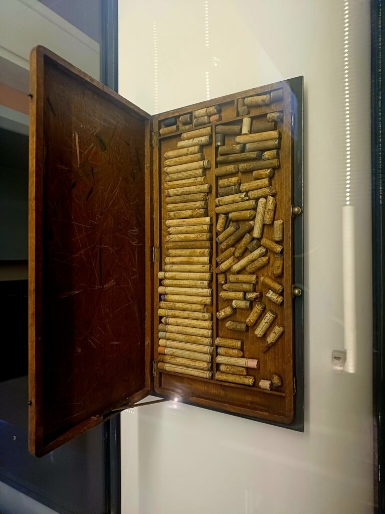 Do Egito Antigo à Fórmula 1: conheça os museus mais surpreendentes de Curitiba