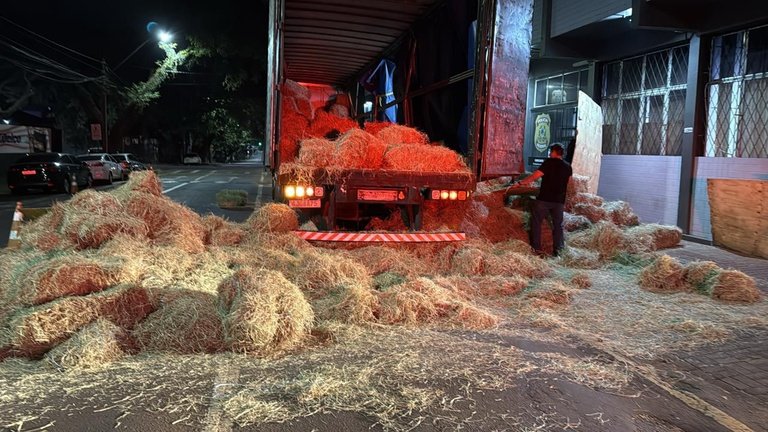 Mais de seis toneladas de drogas são retiradas das rodovias do Paraná em menos de 48 horas