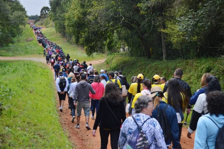 Prepare os tênis e o paladar: 16ª Caminhada na Natureza no Caminho do Vinho abre inscrições