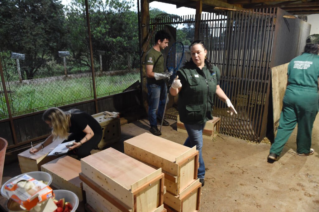 Paraná cria nova superintendência para reforçar proteção de animais domésticos e silvestres
