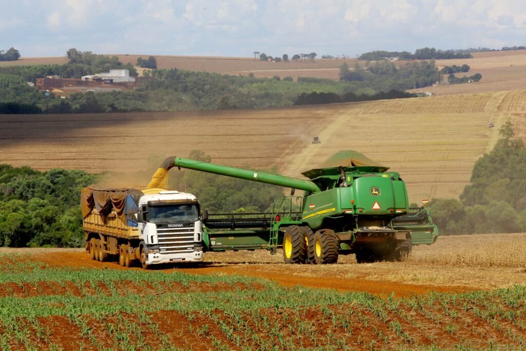 Safra do Paraná: produção de soja e milho deve alcançar 39,1 milhões de toneladas