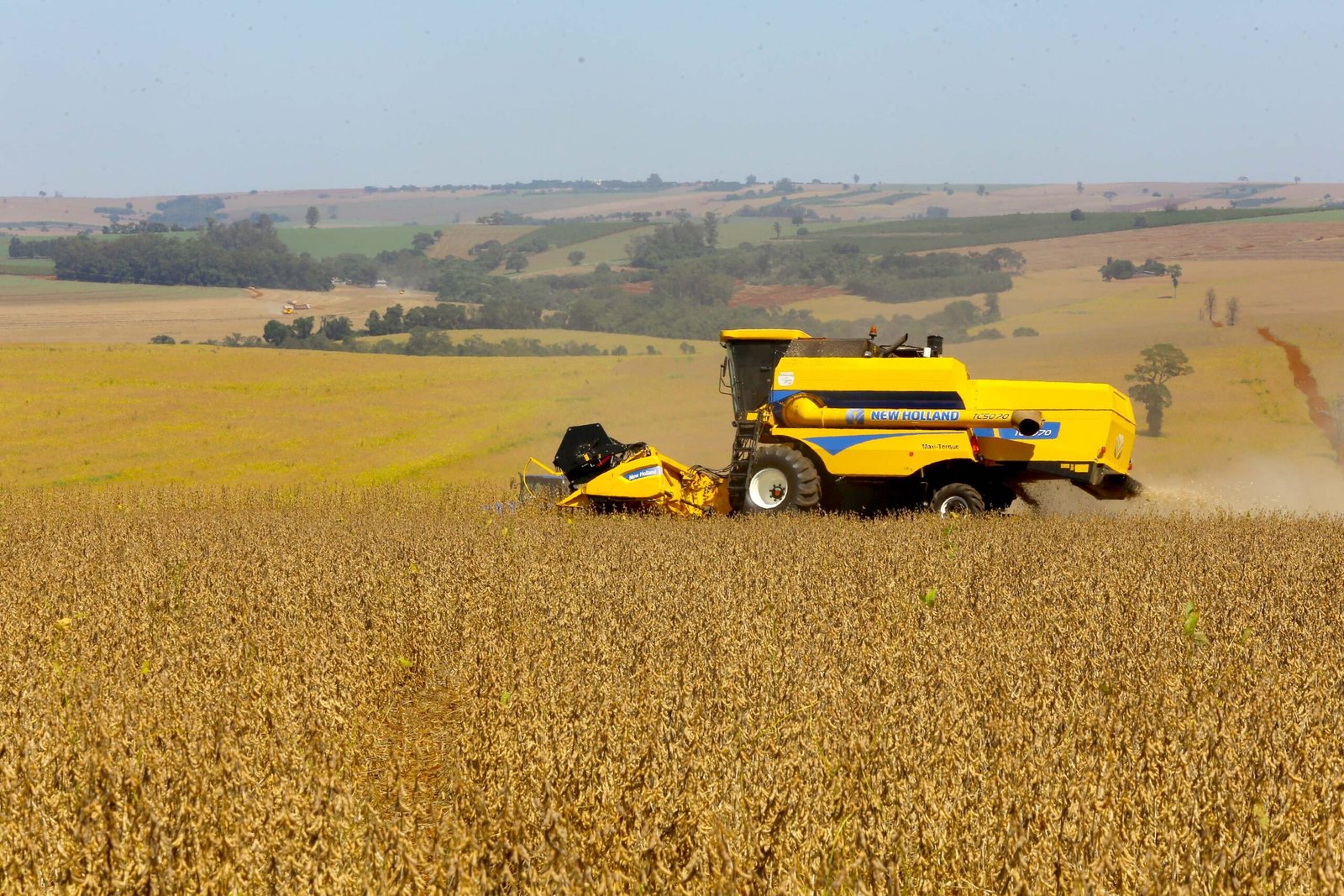 Competitividade no campo: Paraná mantém ICMS zero para insumos agrícolas e blinda setor contra custos