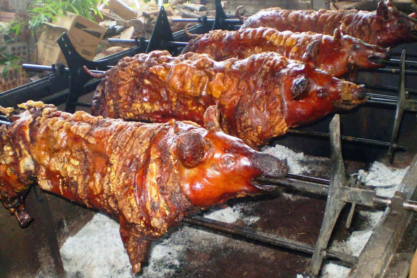 Roteiro de maio: as melhores festas, feiras e shows para você curtir no Paraná