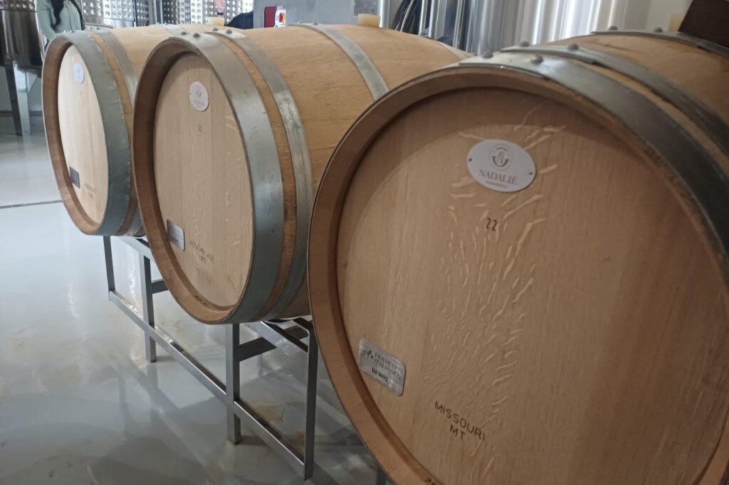 Ouro inédito na França coloca vinho do Paraná no topo do mundo e impulsiona economia local