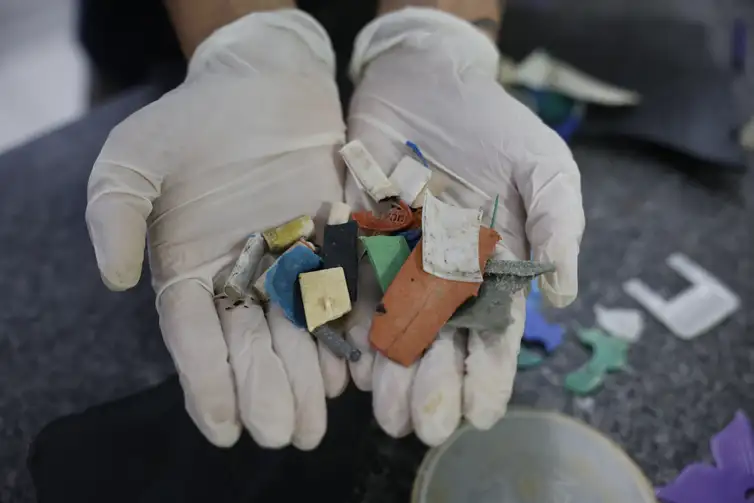 Peixes do litoral do Paraná apresentam alto índice de microplásticos e acendem alerta de saúde