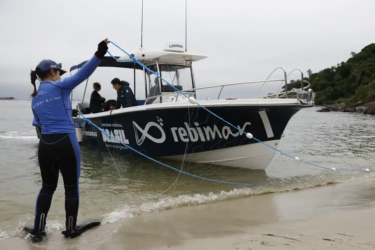 Peixes do litoral do Paraná apresentam alto índice de microplásticos e acendem alerta de saúde