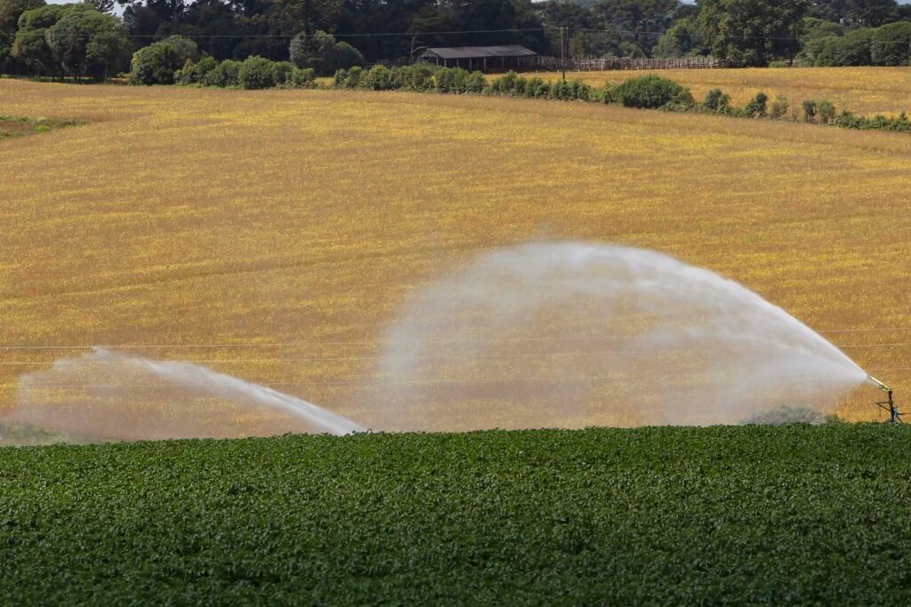 Competitividade no campo: Paraná mantém ICMS zero para insumos agrícolas e blinda setor contra custos