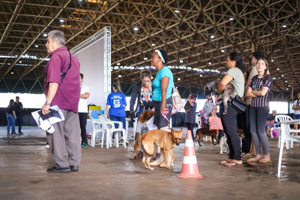 Castrapet chega a 35 cidades do Paraná em maio, com castração e microchipagem gratuitas