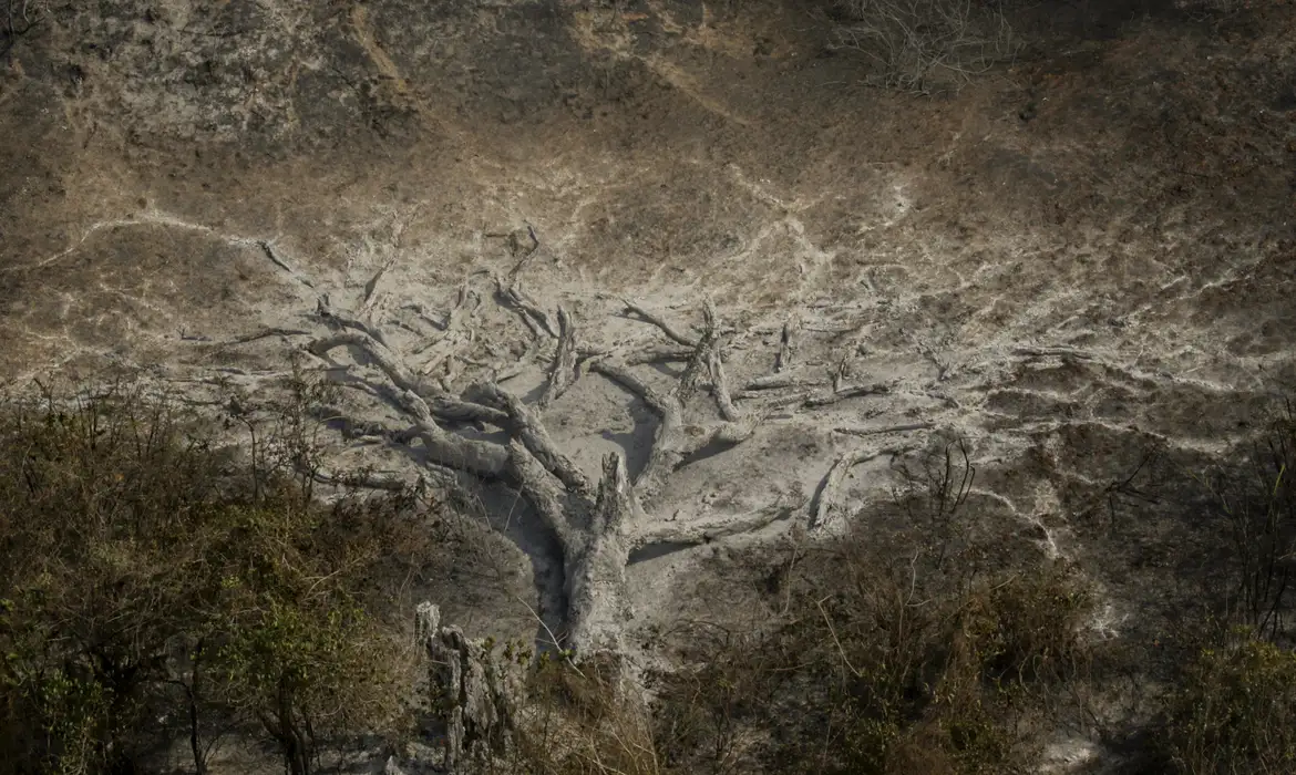 Sem água e pagando caro: o reflexo prático das mudanças climáticas