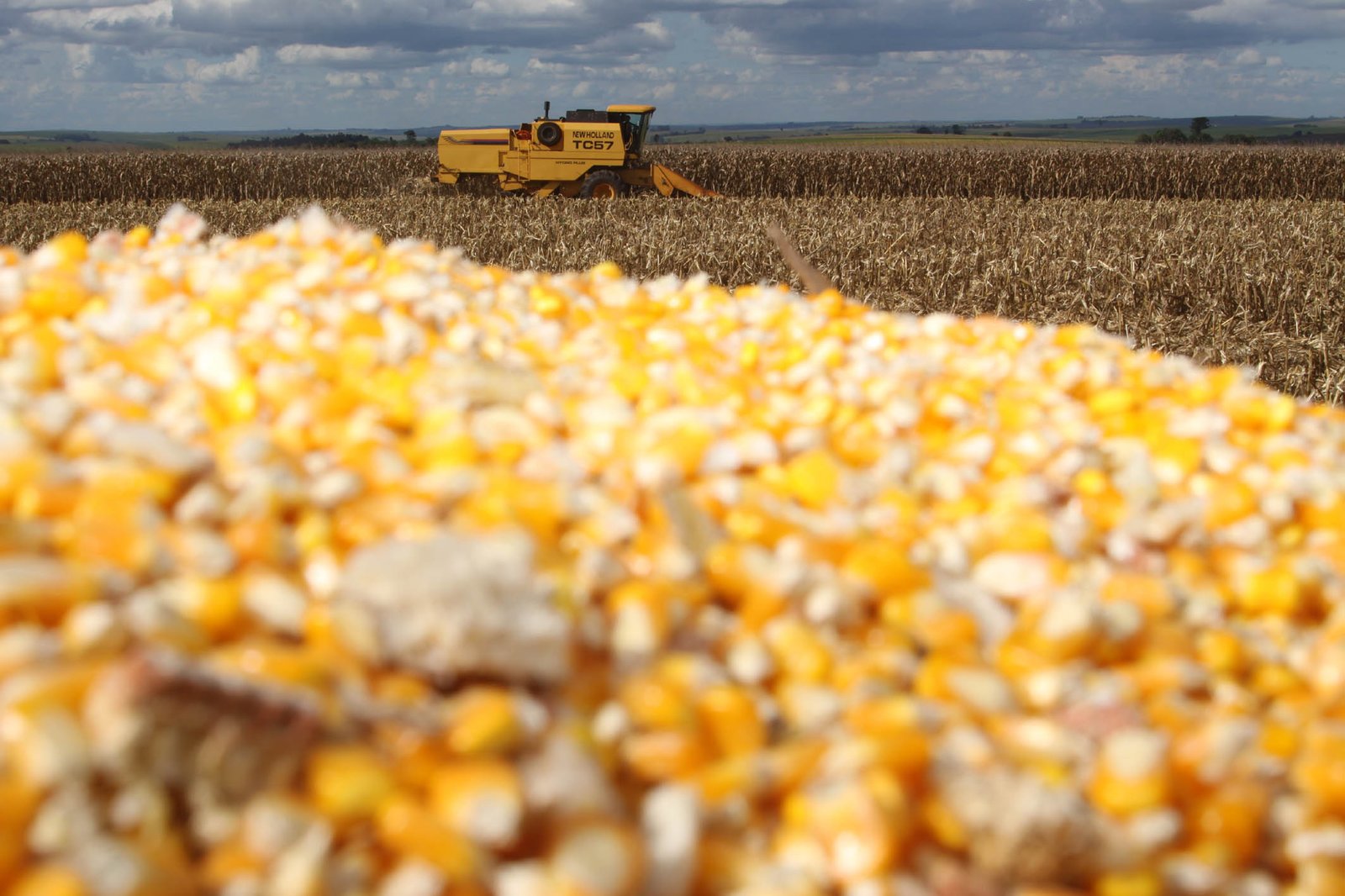 Paraná acelera produção de etanol de milho e diversifica mercado de biocombustível
