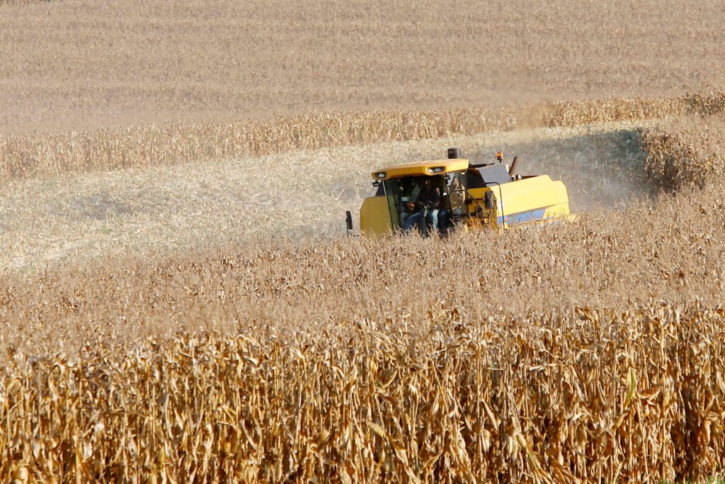 Paraná acelera produção de etanol de milho e diversifica mercado de biocombustível