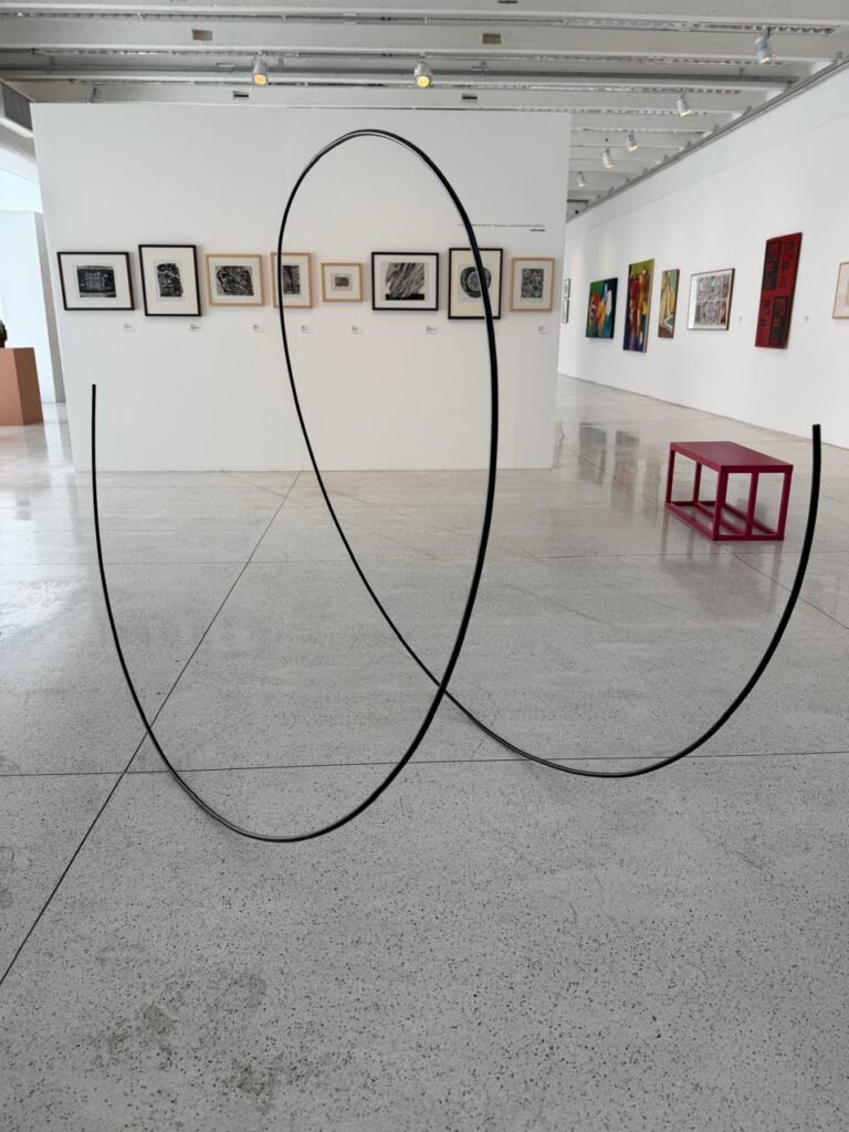 Maringá recebe acervo inédito de arte contemporânea e muda rota cultural do interior