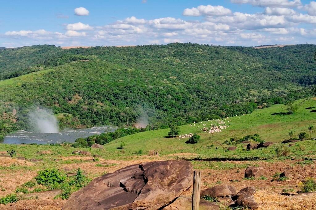 Novas Unidades de Conservação no PR garantem segurança hídrica em 7 cidades