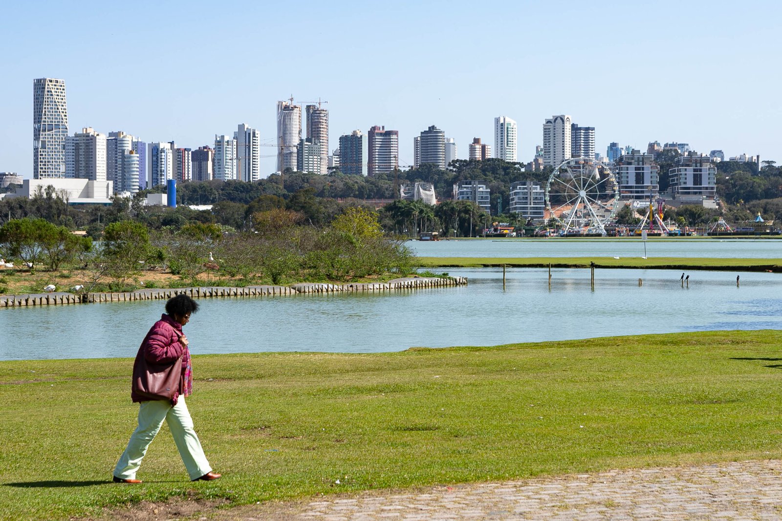 Semana de contrastes: interior do Paraná espera geadas antes do calor de 30°C