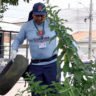 Visitas da saúde em Curitiba: como identificar agentes e evitar golpes