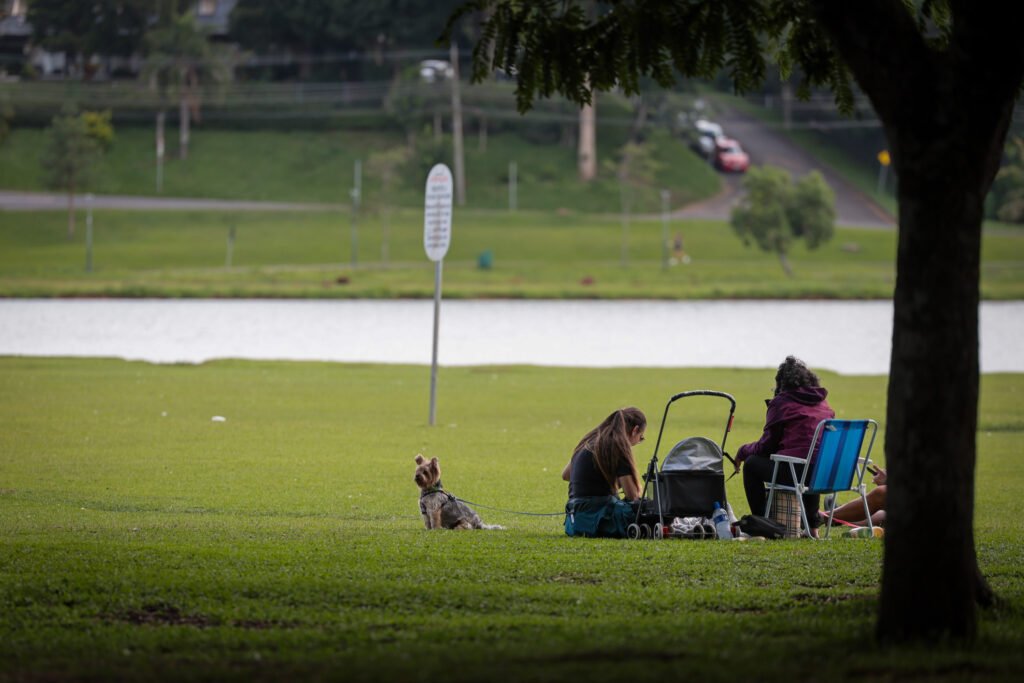 Trégua no tempo severo: Paraná terá dias de sol a 30°C antes de nova frente de temporais