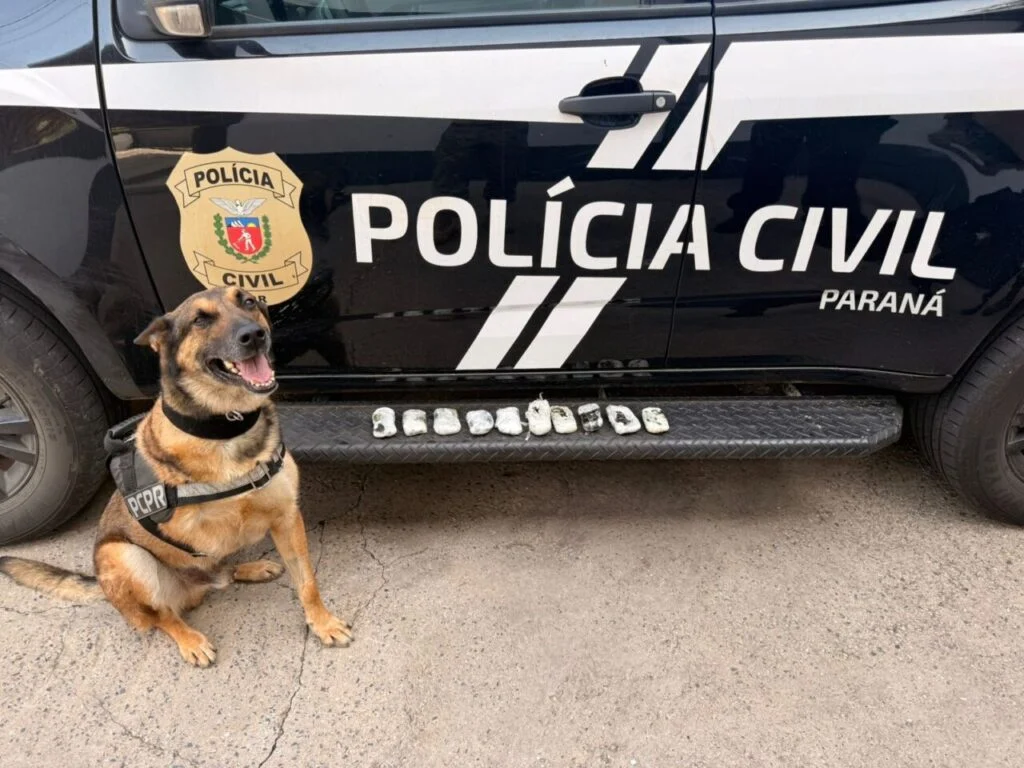 Ação da PCPR flagra tráfico de drogas na Rodoviária de Curitiba