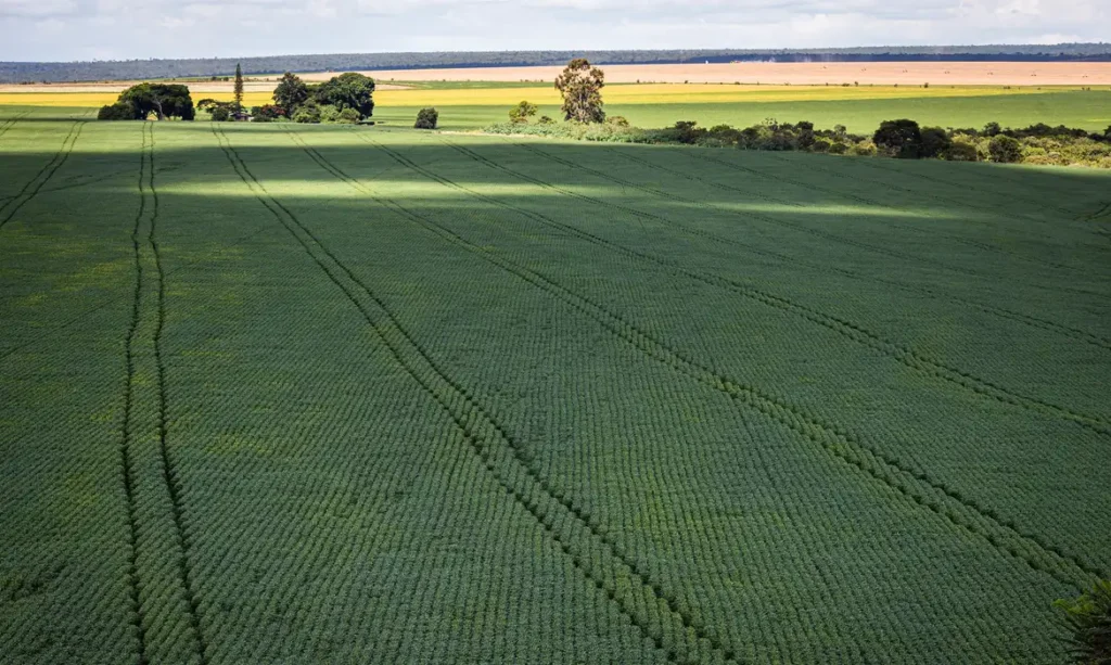 Senado aprova plano de fertilizantes: o que muda para o agronegócio no Paraná?