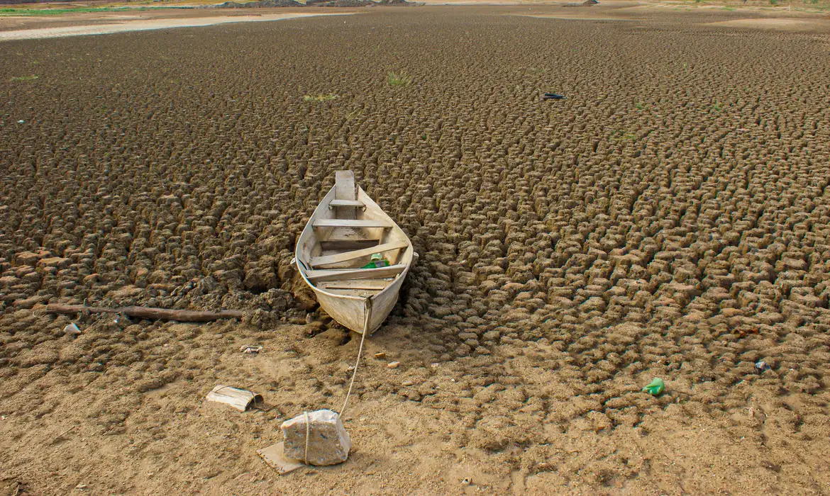 Brasil assume meta de restaurar 163 mil km² de solo até 2030