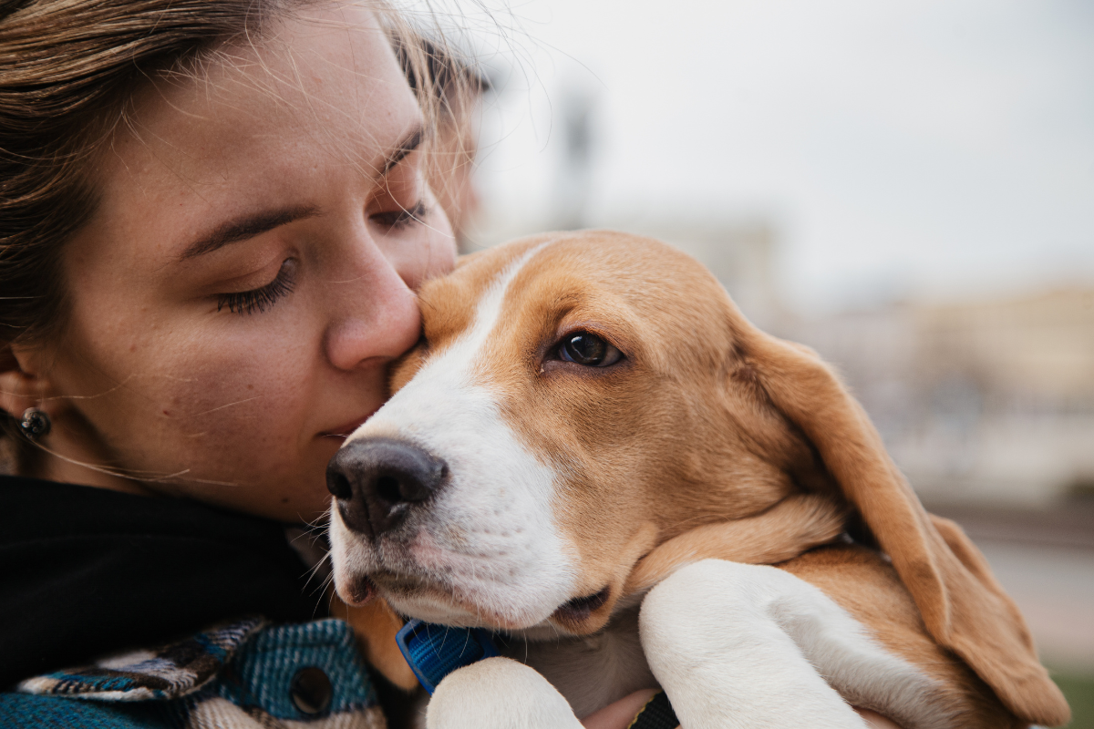 Sinais silenciosos de doenças nos pets que exigem atenção
