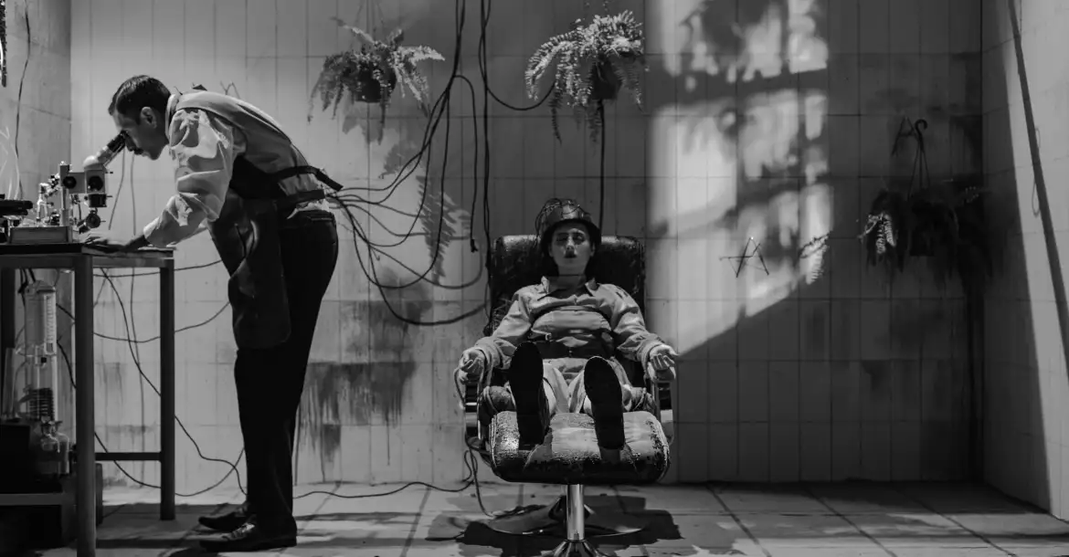 Djanho! mostra de cinema reúne 52 produções em espaços de Curitiba