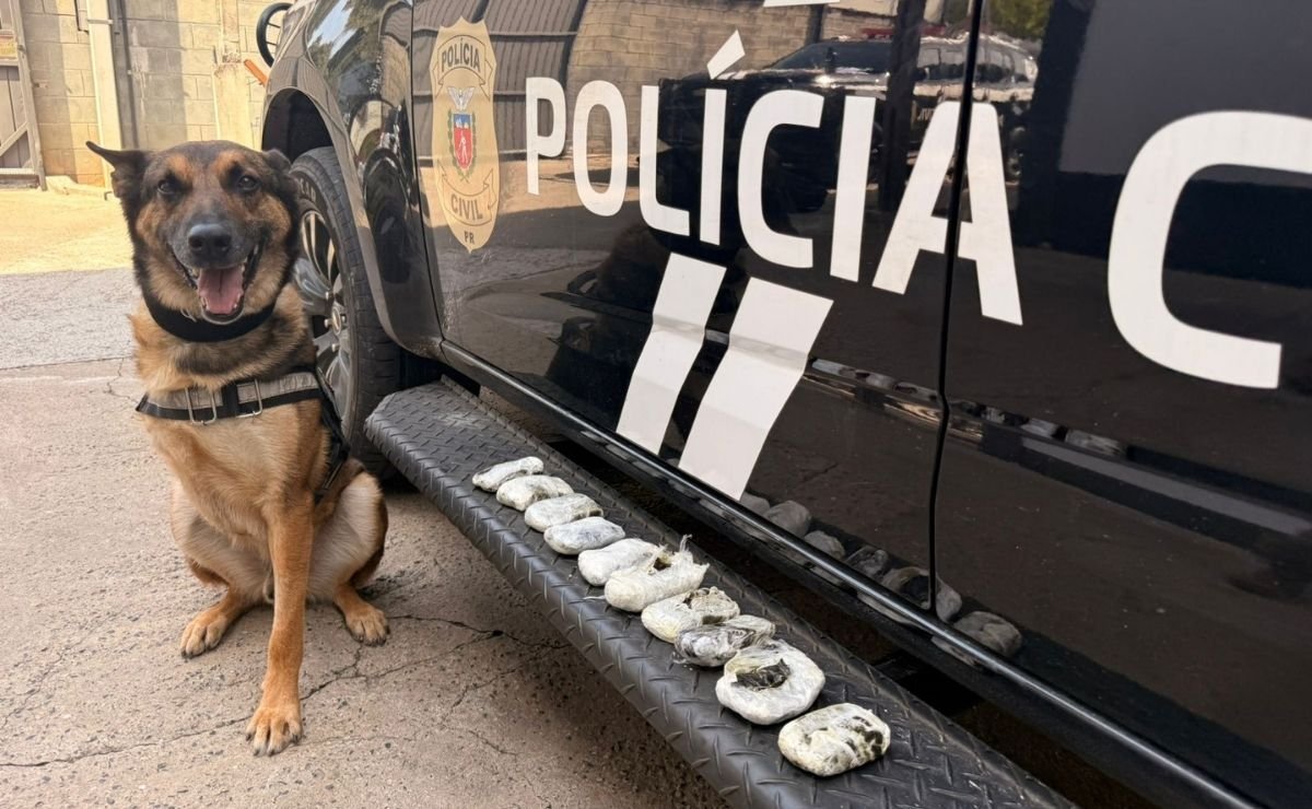 Ação da PCPR flagra tráfico de drogas na Rodoviária de Curitiba