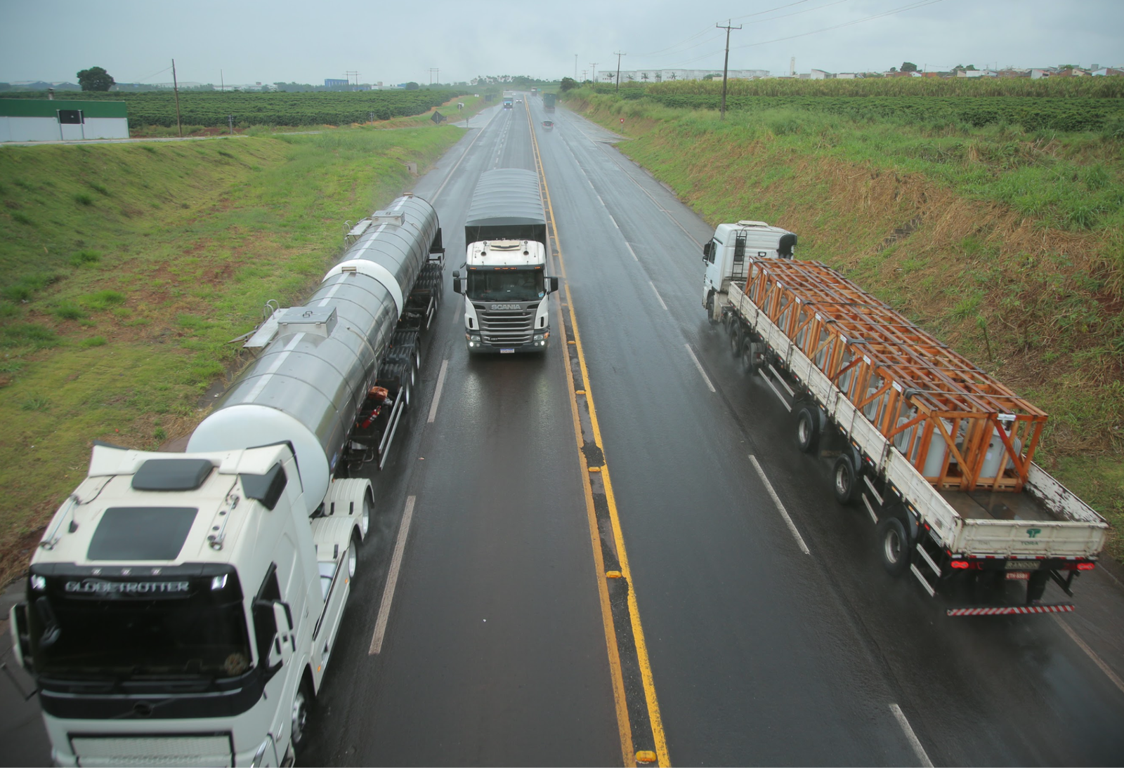 Plantio em rodovias do PR: prazo para adesão é estendido