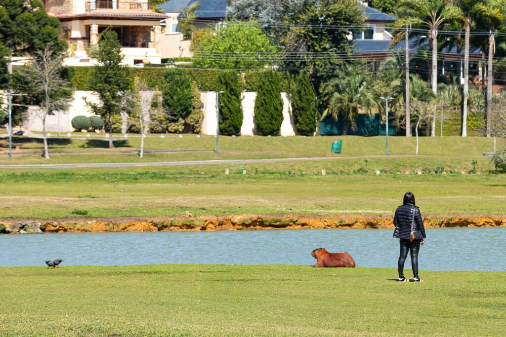 Frente fria avança pelo Paraná e derruba temperaturas; veja a previsão