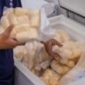 Novo programa da Prefeitura garante comida fresca da agricultura familiar