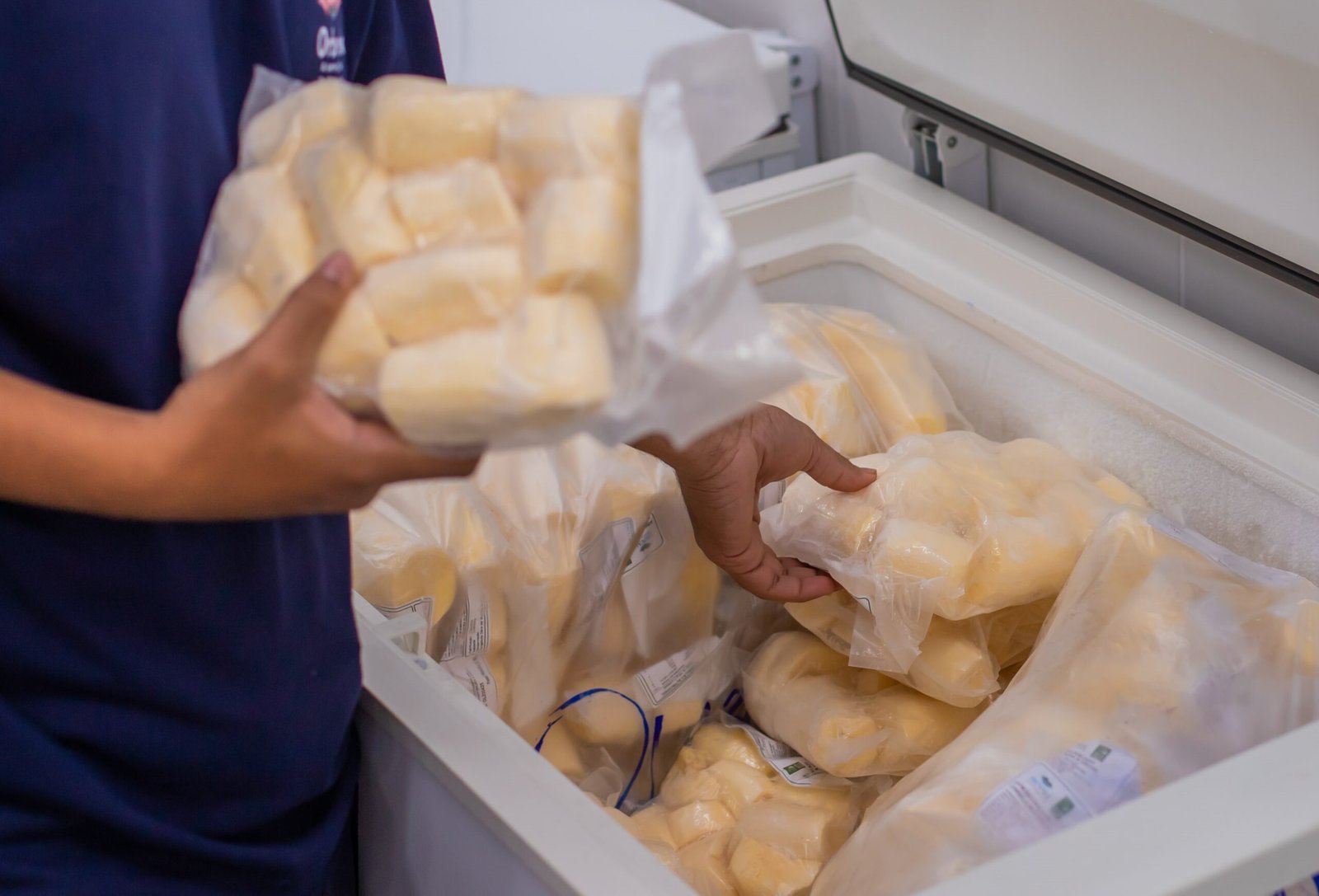 Novo programa da Prefeitura garante comida fresca da agricultura familiar