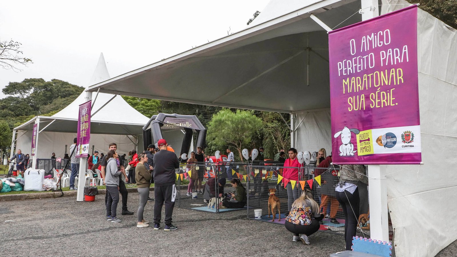 Parque Barigui tem 50 cães para adoção e serviço de microchipagem gratuita neste sábado