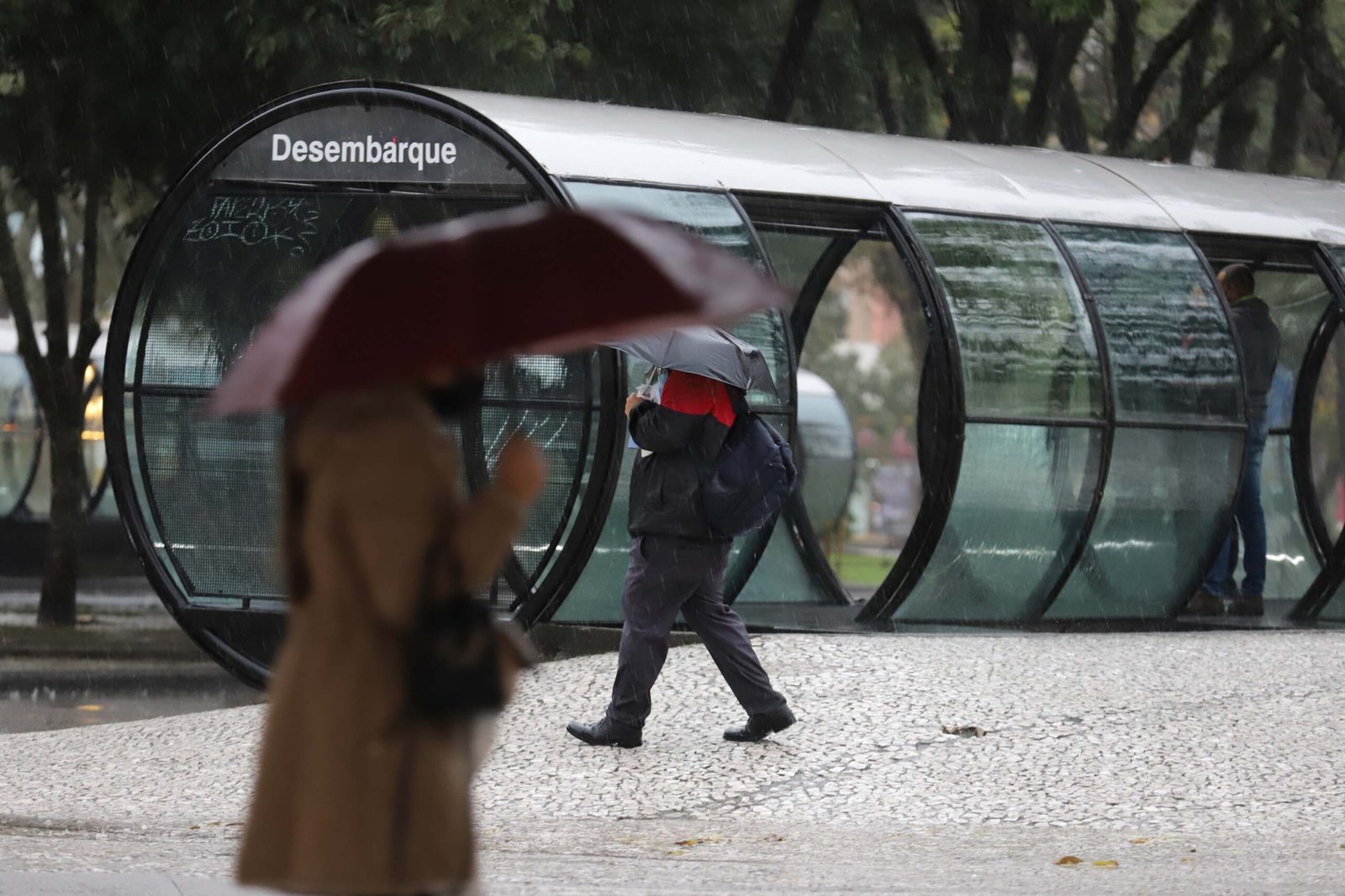Fim da seca no Paraná: chuvas acima da média garantem alívio hídrico, mas fim de semana terá tempestades