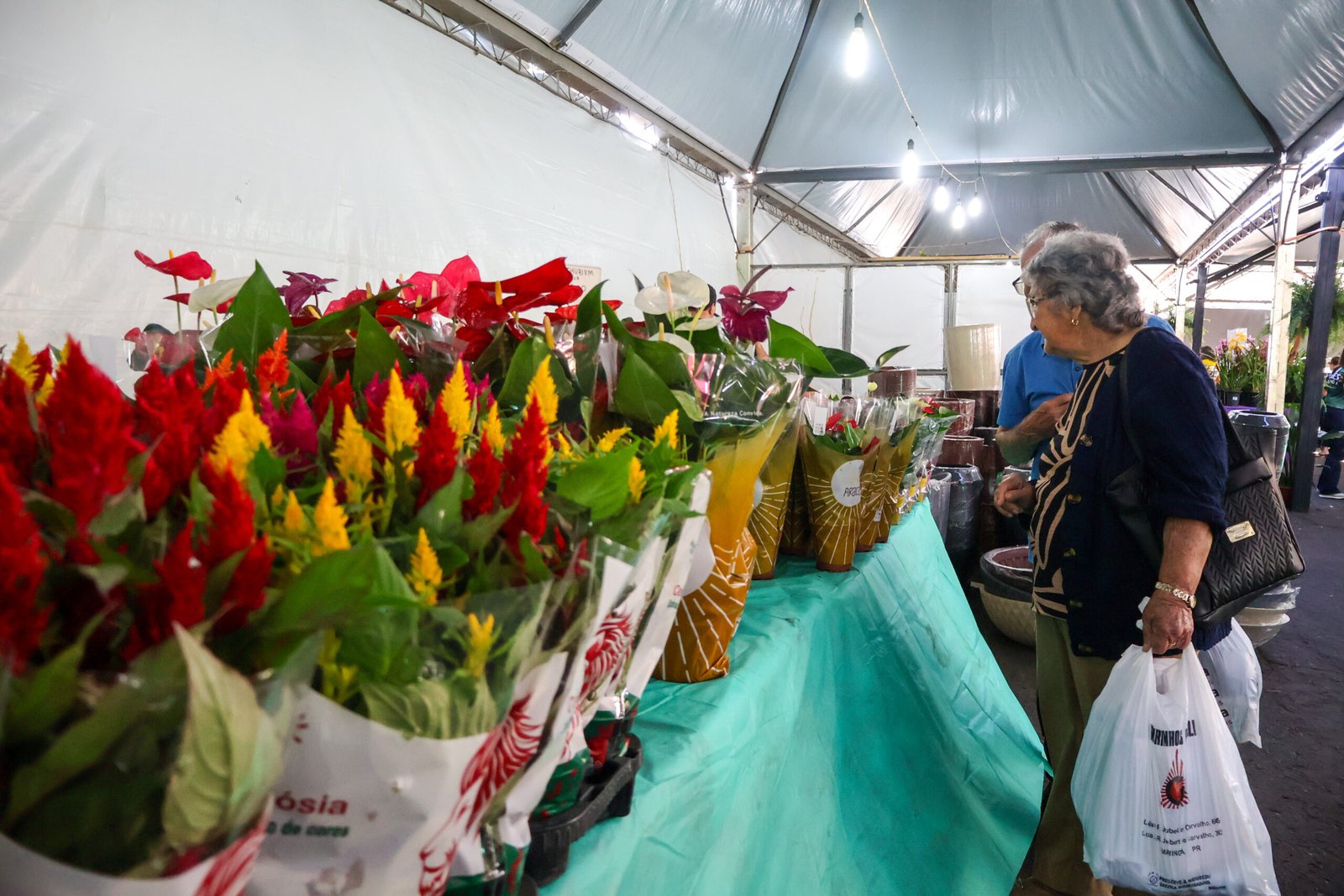Expoflor transforma centro de Maringá em polo de jardinagem e solidariedade
