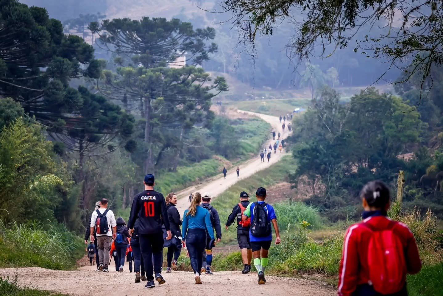 Circuito Capinzal em Araucária terá ônibus de graça e feira rural