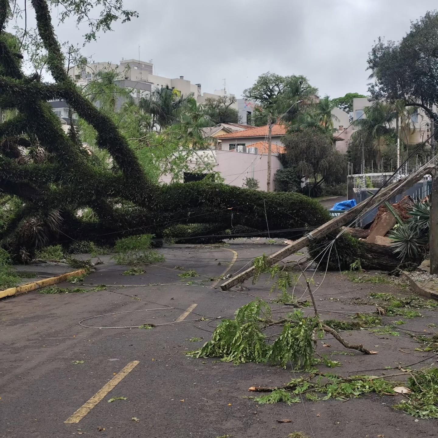 Apucarana decreta emergência após temporal de 124 km/h atingir 4 mil moradores