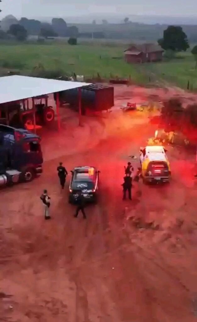 Operação no Paraná mira quadrilha que furtou 2 mil cabeças de gado