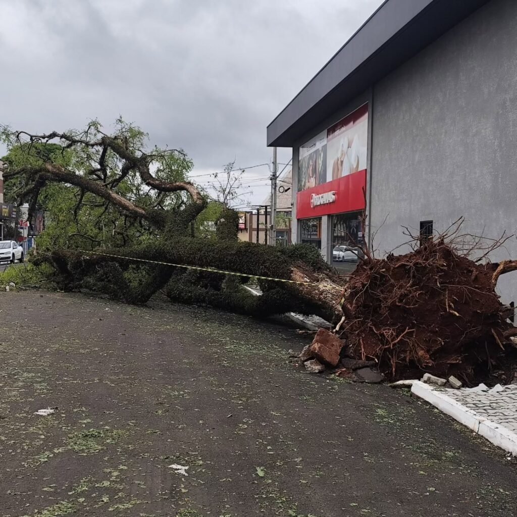 Apucarana decreta emergência após temporal de 124 km/h atingir 4 mil moradoresApucarana decreta emergência após temporal de 124 km/h atingir 4 mil moradores